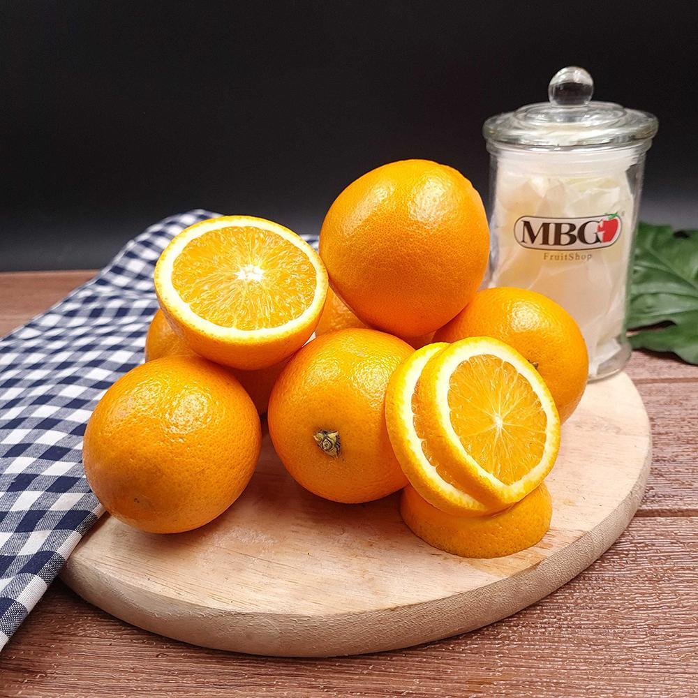 South Africa Midknight Orange (S)-Citrus-MBG Fruit Shop