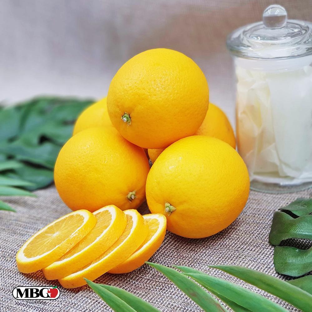 South Africa Midknight Valencia Orange (M)-Citrus-MBG Fruit Shop