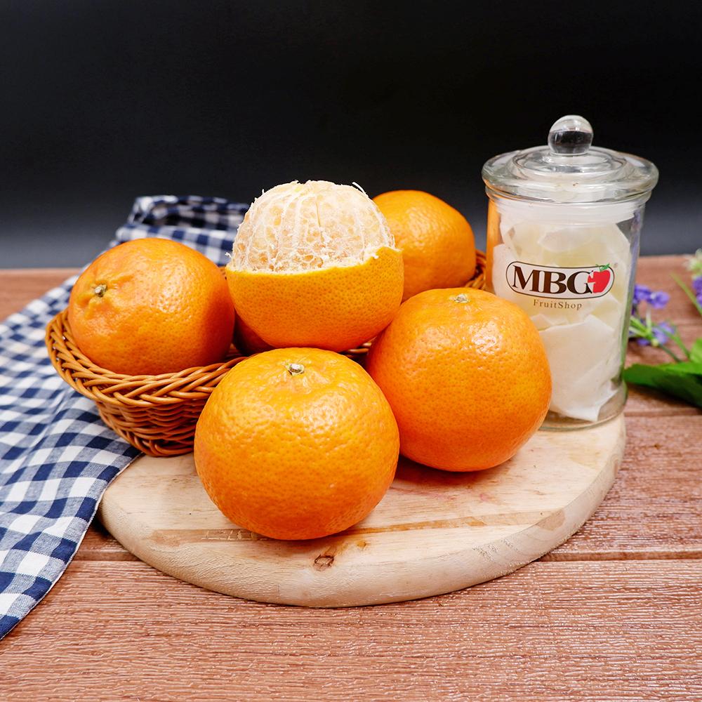 South Africa Schoeman Leanri Mandarin (M) [5Pcs/Pack]-Citrus-MBG Fruit Shop