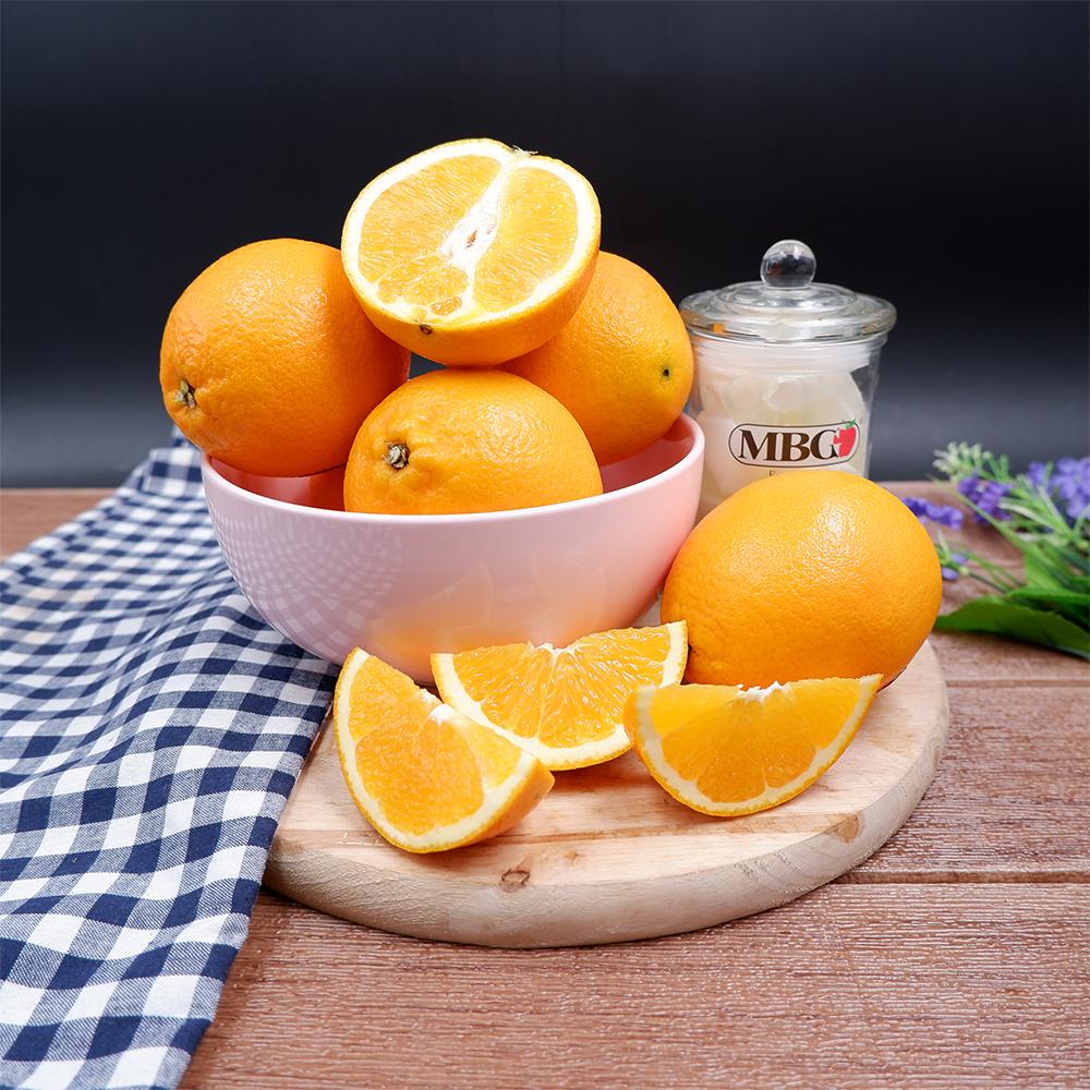 South Africa Sunriver Orange Navel (M)-Citrus-MBG Fruit Shop