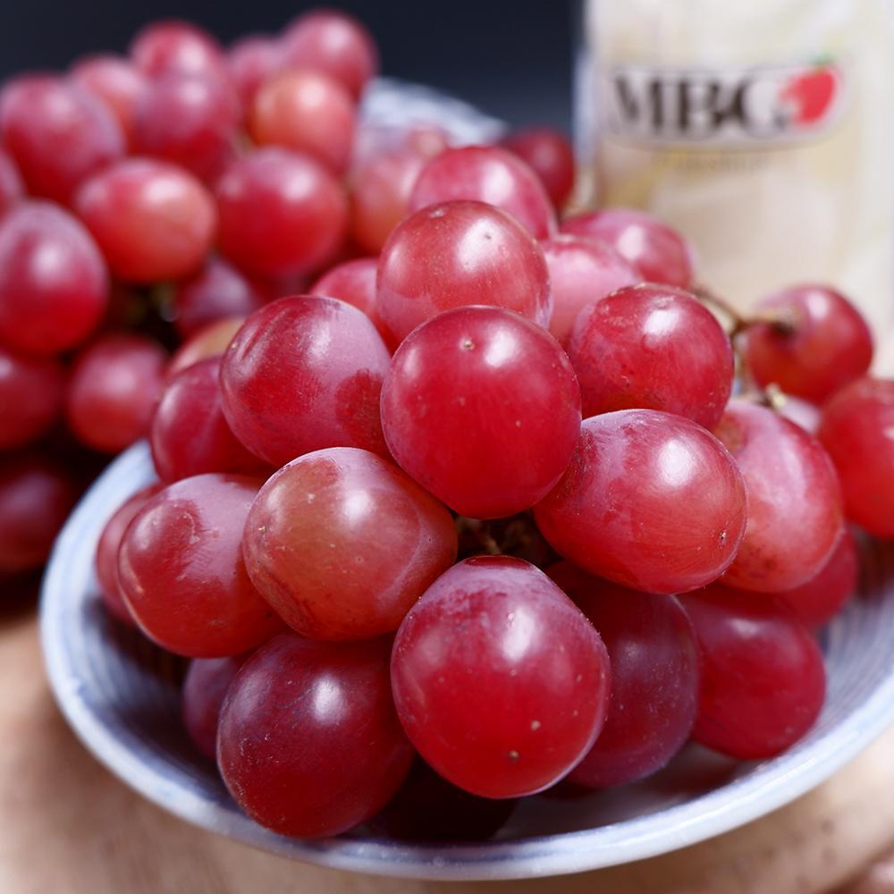 Spain El Ciruelo Alison (500g/Pack) MBG Fruit Shop