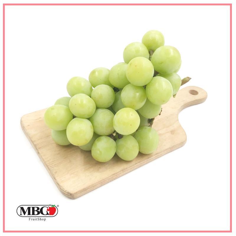 Spain El Ciruelo Autumn Crisp Green Grape [500g/pack] MBG Fruit Shop