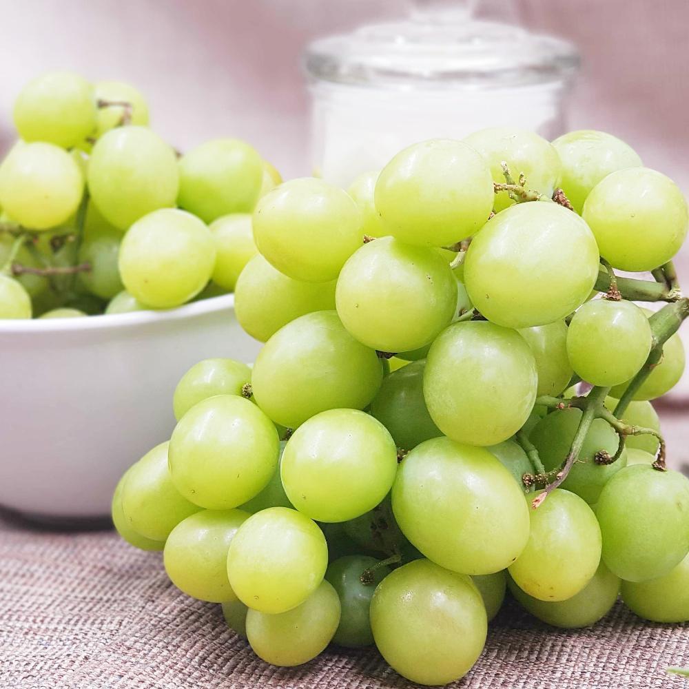 Spain El Ciruelo Autumn Crisp Green Grape [500g/pack] MBG Fruit Shop