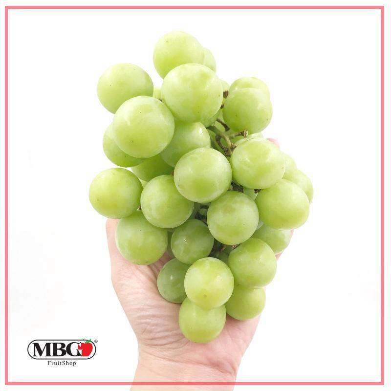 Spain El Ciruelo Autumn Crisp Green Grape [500g/pack] MBG Fruit Shop
