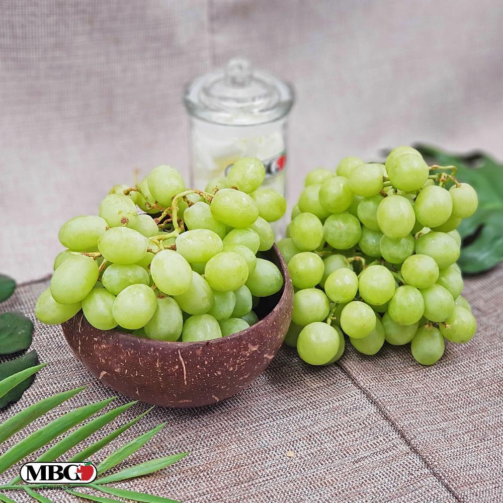 Spain El Ciruelo Sweet Globe Grape [500g/Pack] MBG Fruit Shop