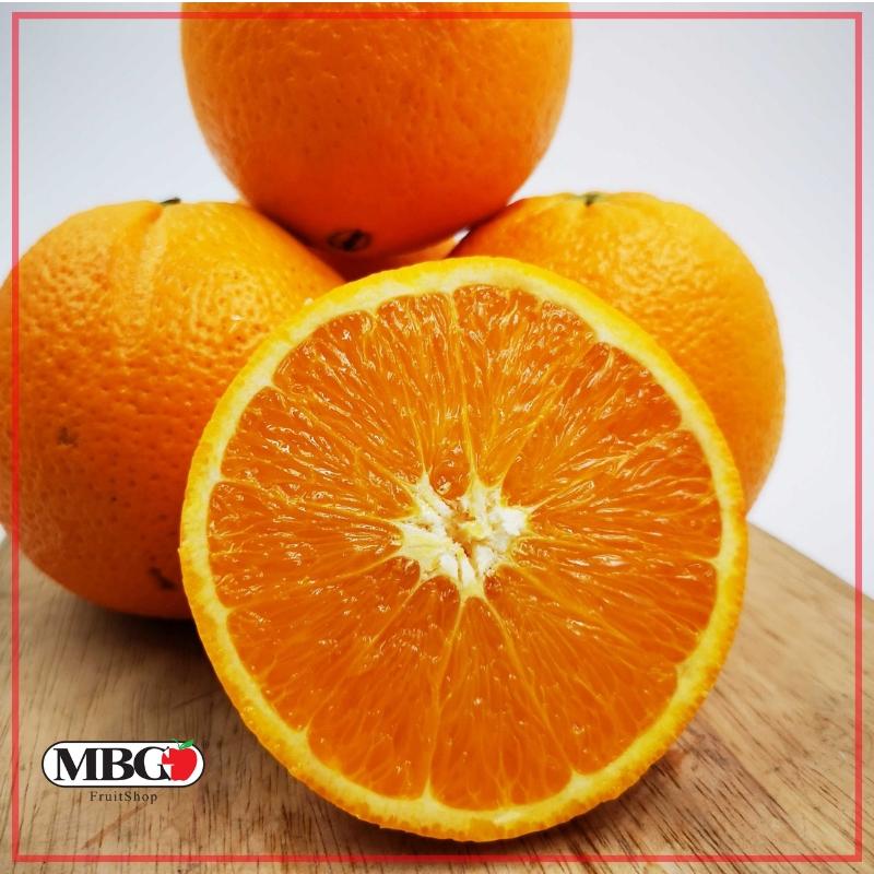Spain Navel Orange (L)-Citrus-MBG Fruit Shop