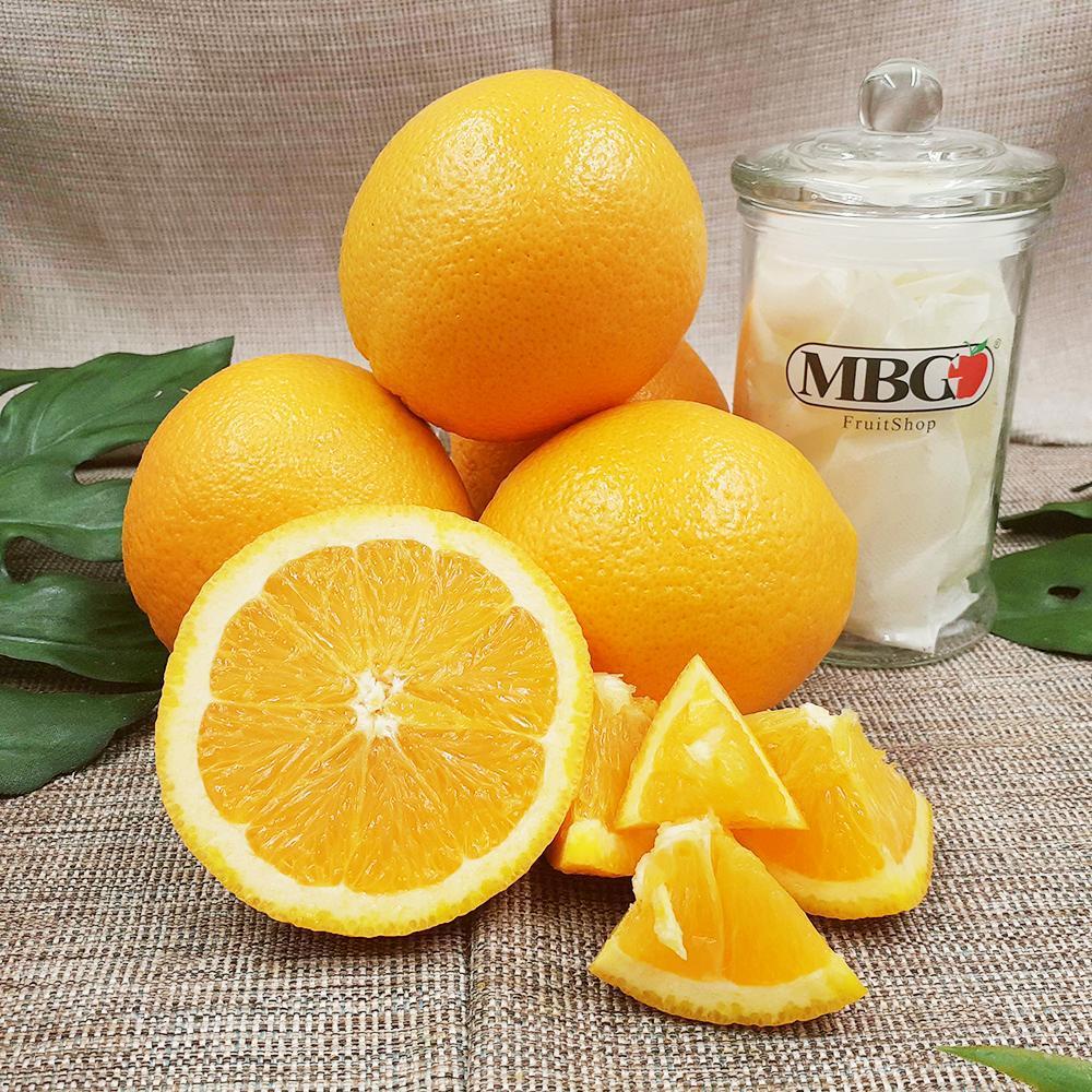 Spain Navel Orange (M)-Citrus-MBG Fruit Shop