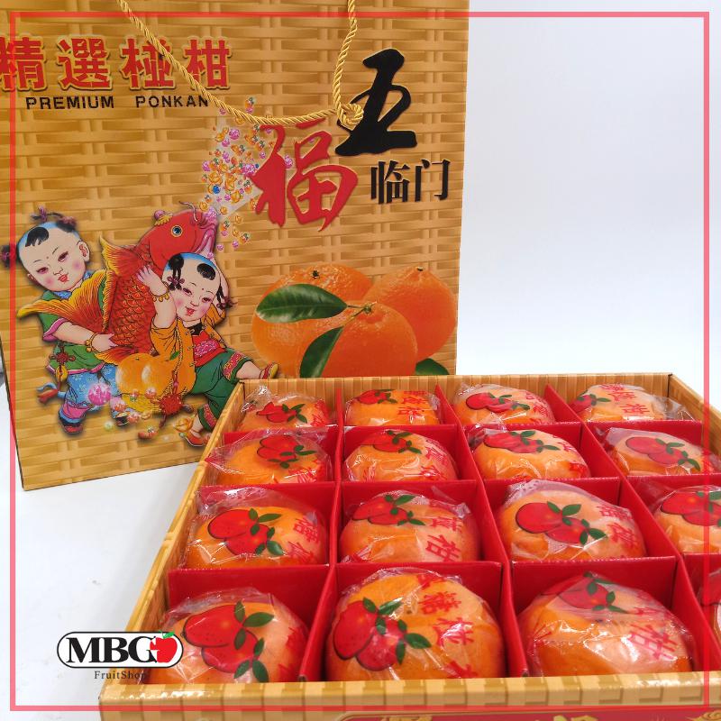 CNY19 Wu Fu Lin Men Mandarin XL Gift Box [16Pcs/Pack]-CNY Special-MBG Fruit Shop