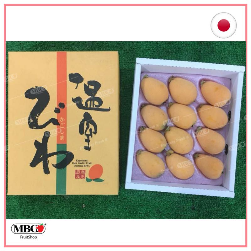 Japan Nagasaki Loquat 長崎枇杷 (500gram Gift Pack)-Seasonal Fruits-MBG Fruit Shop