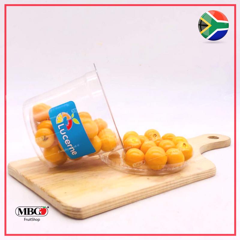 South Africa Gooseberry-MBG Fruit Shop